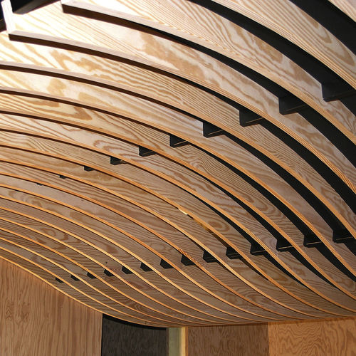 Controsoffitto in legno - LAUDER LINEA SWELL - Process Bois by Laudescher - a doghe / acustico / curvo