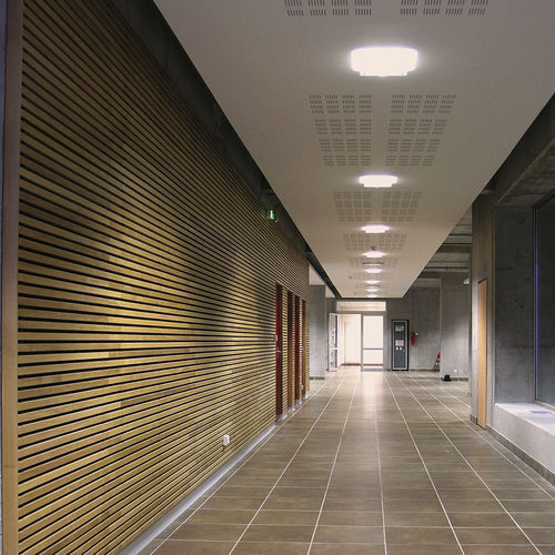 Paramento in legno - LAUDER LINEA 2.9.10 - Process Bois by Laudescher - in legno / indoor / con scanalature