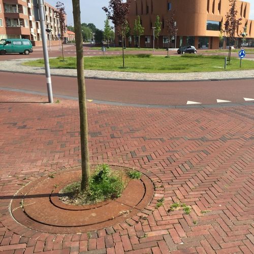 Griglia per alberi rotonda - ROUND - CROSO FRANCE - in ghisa / in corten