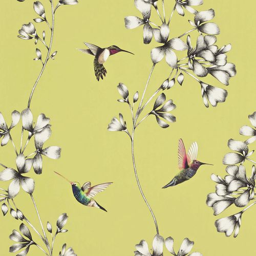 Carta da parati contemporanea - Amazilia : HAMA111061 - Harlequin - con motivi floreali / con animali / aspetto carta da parati