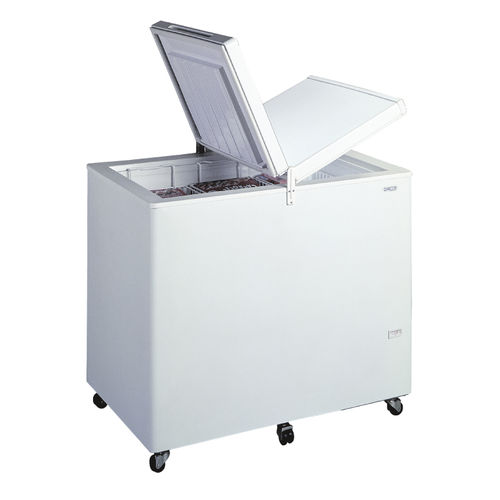 Congelatore professionale - THG 6FFE - Fricon - a pozzetto / bianco