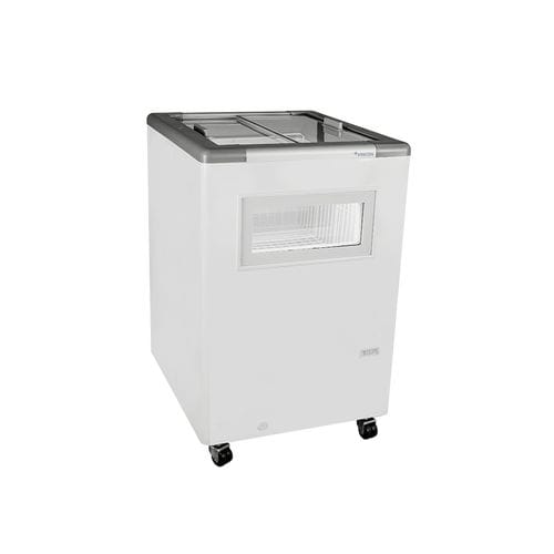 Congelatore professionale - HCE 170 FG - Fricon - a pozzetto / bianco / a risparmio energetico