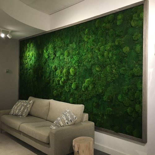 Muschio stabilizzato a palla - MIXED  - BY NATURE - per giardino verticale / per quadro vegetale / rettangolare