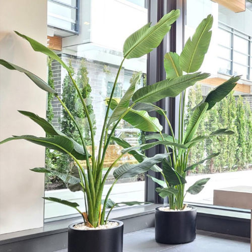 Pianta ornamentale sintetica - POTTED  - BY NATURE - palme / di grandi dimensioni / da interno