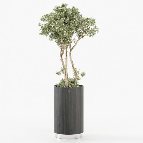 Vaso da giardino in eucalipto - GOLD - Laskasas - da appoggio / rotondo / per uso residenziale