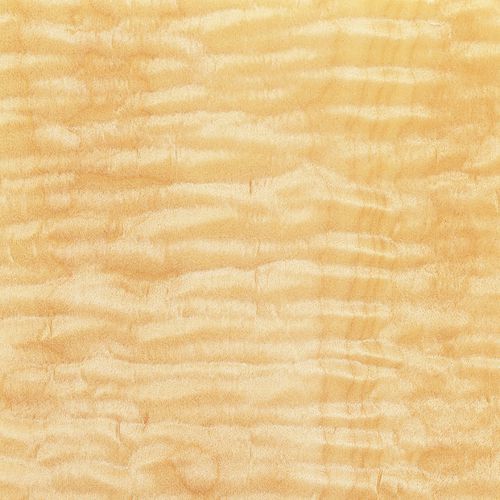 Tranciato in legno - AMERICAN MAPLE - SCHORN&GROH