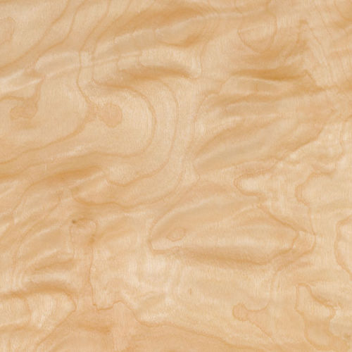 Tranciato in legno - BIRCH - SCHORN&GROH