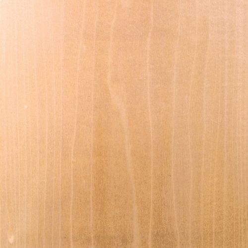 Tranciato in legno - POPLAR - SCHORN&GROH