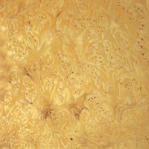 Tranciato in legno - MYRTLE BURL - SCHORN&GROH