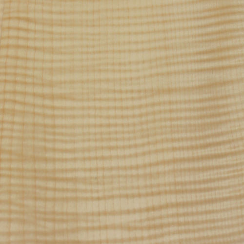 Tranciato in legno - EUROPEAN SYCAMORE - SCHORN&GROH - PEFC / FSC