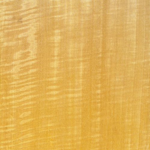 Tranciato in legno - MOVINGUI  - SCHORN&GROH