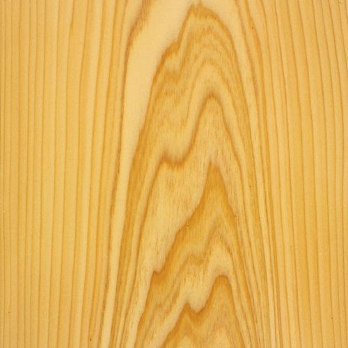 Tranciato in legno - CYPRESS  - SCHORN&GROH