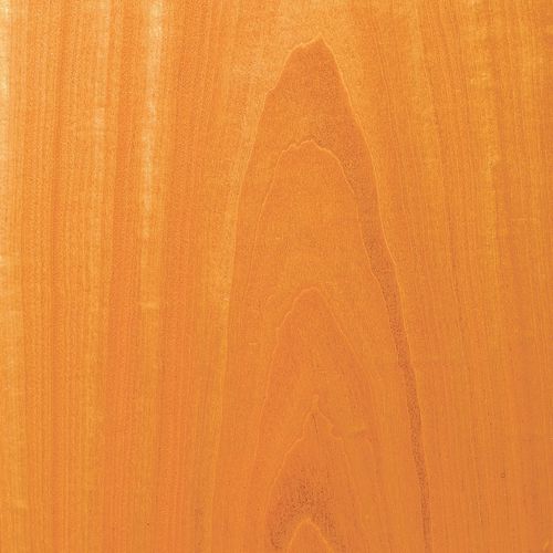Tranciato in legno - CEYLON SATINWOOD - SCHORN&GROH