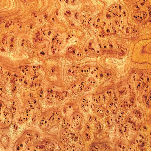 Tranciato in legno - ELM - SCHORN&GROH