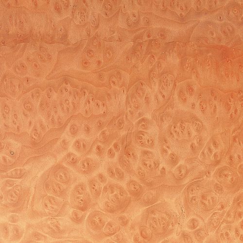 Tranciato in legno - MADRONE BURL - SCHORN&GROH