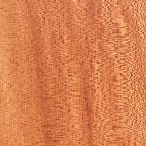 Tranciato in legno - EUROPEAN LACEWOOD - SCHORN&GROH