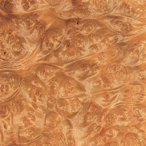 Tranciato in legno - LAUREL BURL - SCHORN&GROH