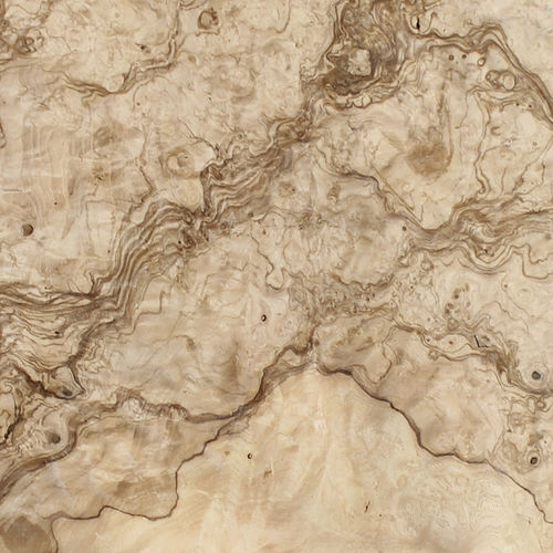 Tranciato in legno - OLIVE ASH BURL - SCHORN&GROH - FSC