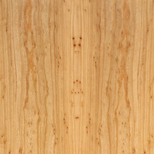 Tranciato in legno - PREMIUM : SOFT PEPPER - SCHORN&GROH