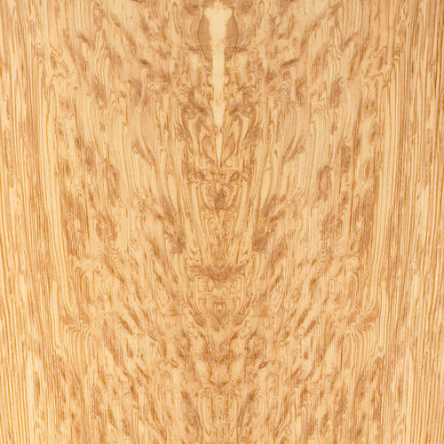 Tranciato in legno - PREMIUM : ENGLISH OCELOT - SCHORN&GROH