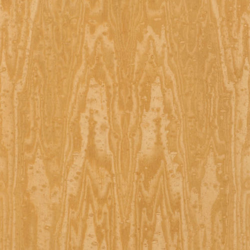 Tranciato in legno - PREMIUM : WATER PEARLS - SCHORN&GROH