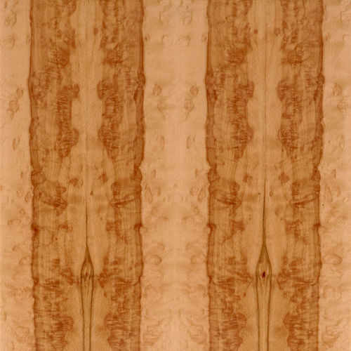 Tranciato in legno - SELECT : HEARTED BEECH BURL - SCHORN&GROH
