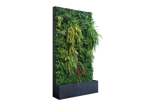 Parete vegetale da interno - Artaqua