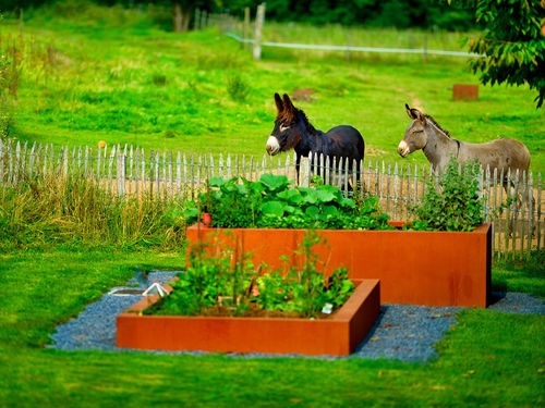Fioriera per orto in corten - BACS DE JARDINAGE - PK70 - per uso residenziale