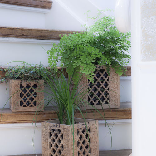 Vaso da giardino in legno - JALI - Zenza - quadrato / rettangolare