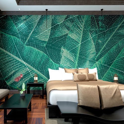 Carta da parati contemporanea - IN THE FOREST - HD WALLS - in tessuto non tessuto / in seta / in vinile