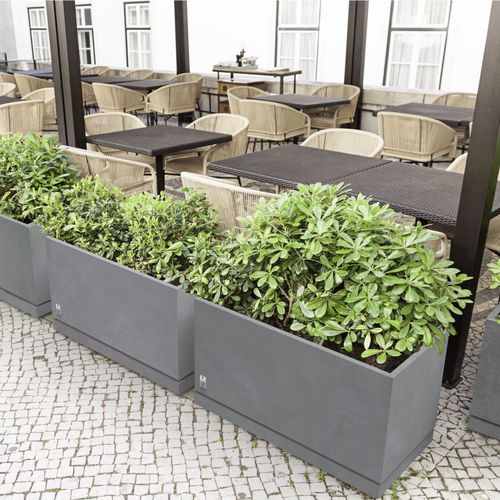 Fioriera in calcestruzzo - REGULAR WITH SAUCER - Modern Line - rettangolare / quadrata / contemporanea