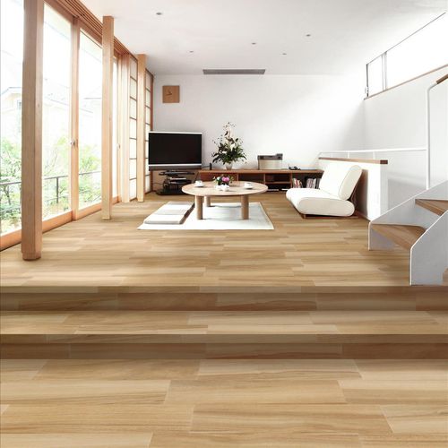 Piastrella in gres porcellanato - ALPINA - STN - opaca / da interno / da sala
