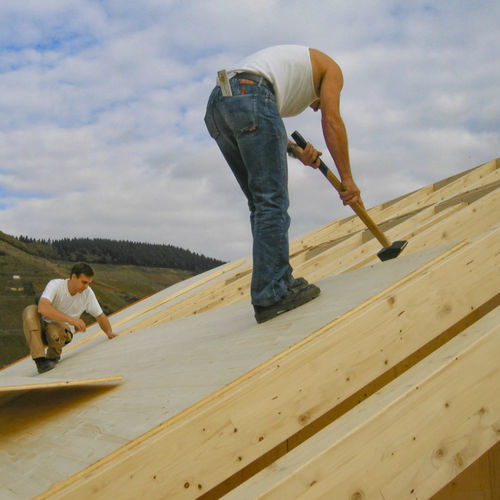 Pannello in legno a 3 strati - VITA - elka Holzwerke GmbH - da costruzione / per interni / da parete