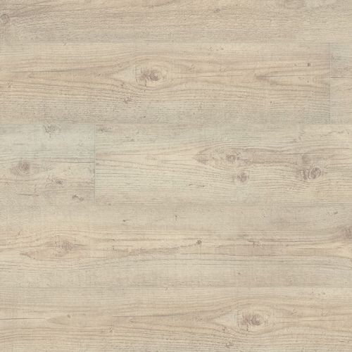 Pavimento laminato in HDF - 500 XL V4 : DENALI PINE - windmöller flooring products WFP GmbH - a clip / aspetto legno / per uso residenziale