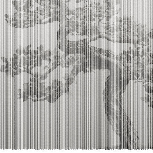 Carta da parati contemporanea - PLAGUE RE-EDITION - LondonArt Wallpapers - in vinile / in PVC / con motivi naturali