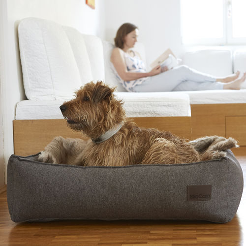 Letto per cane in cotone - NUBE - MiaCara - in poliestere / grigio / lavabile in lavatrice