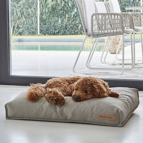 Cuscino per cane in poliestere - MARE - MiaCara - grigio / sabbia / rettangolare