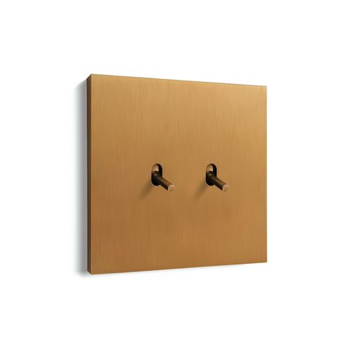 Interruttore a leva - IC3020 - ICÓNICO - ad incasso / doppio / in metallo