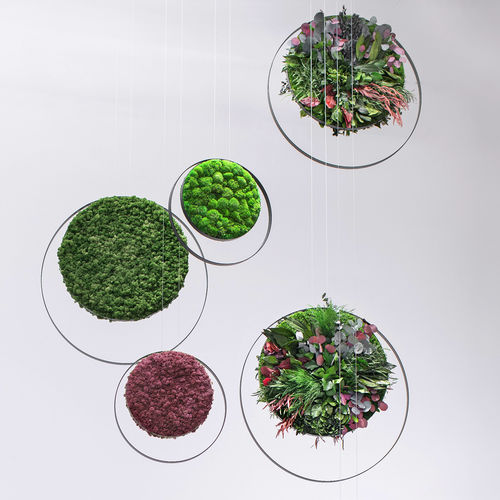 Quadro vegetale stabilizzato - RINGS - Greenmood - in muschio / in fogliame / da interno