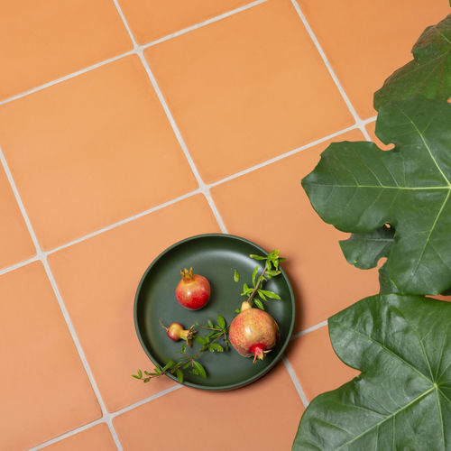 Piastrella in ceramica - ANTICA - CERAMICA FERRES - opaca / da interno / da esterno