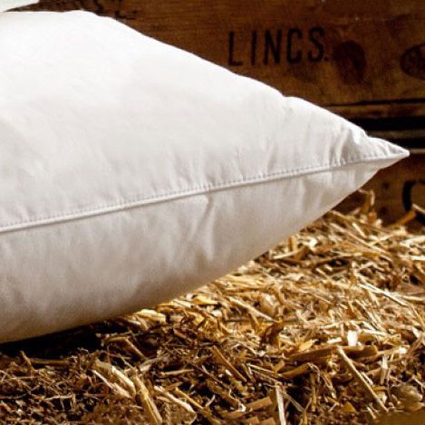 Federa per guanciale in polipropilene - PINSONIC - Get Laid Beds