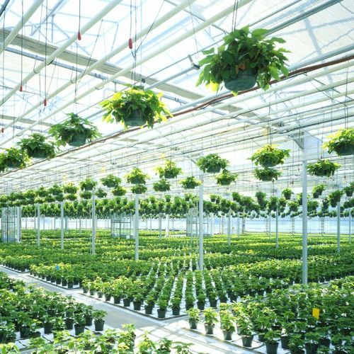 Serra contract - DEFORCHE - di produzione / a campata / venlo