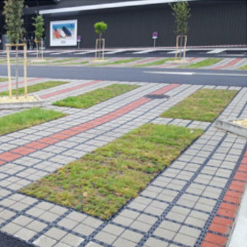 Stabilizzatore di lastricato - Permeable - Moonbay Industrial Co., Ltd.