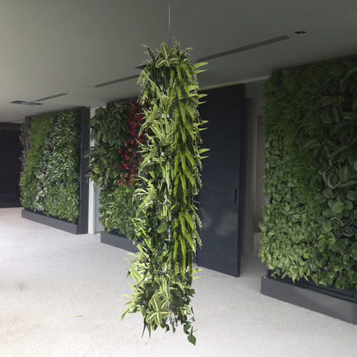 Parete vegetale stabilizzata - HANGING GREEN - Green Urban Life GmbH - da interno