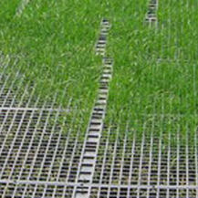 Geogriglia per stabilizzazione dei terreni - GEORUNNER® TURF - Presto Geosystems - per fondazione / polimerica