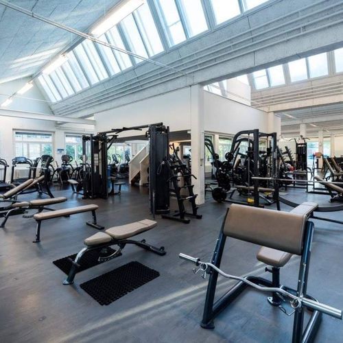 Pavimento in gomma - ENDURANCE S&S - Pavigym - da interno / per impianti sportivi / professionale