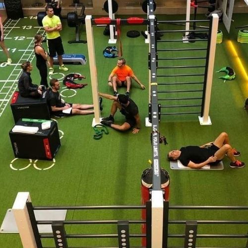 Prato artificiale - TURF - Pavigym - in rotoli / per impianto sportivo / per attività sportiva