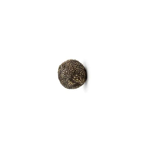 Pomello per mobile design originale - MAPLE EA1019 - PullCast - in ottone spazzolato / in ottone lucidato
