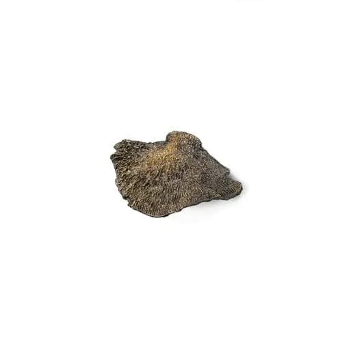 Maniglia per mobile in ottone - FUNGI EA1032 - PullCast - spazzolata / levigata / anticata