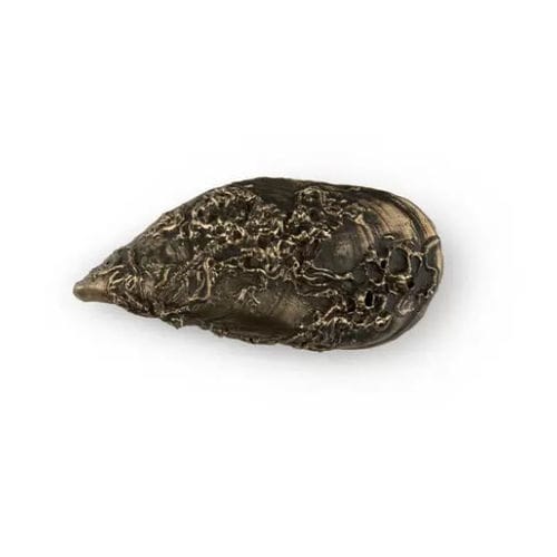 Pomello per mobile classico - CORAL OC2060 - PullCast - in ottone